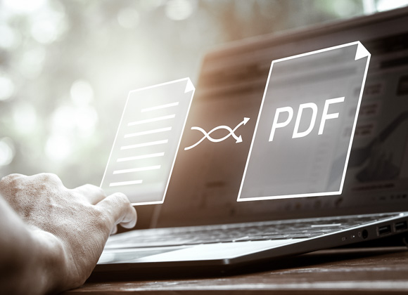 PDF-Export von Artikeln 